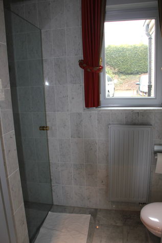 shower and toilette
