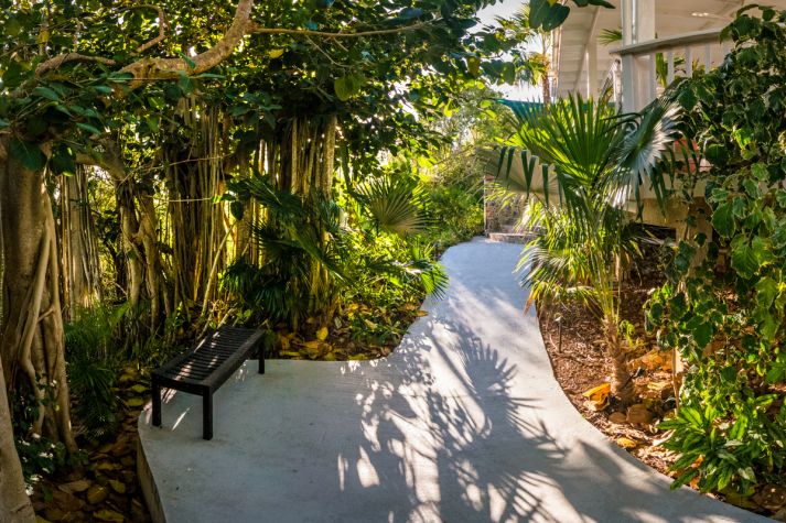 Your St. John Vacation Home - Tropical gardens
Your St. John Vacation Home - Tropical gardens