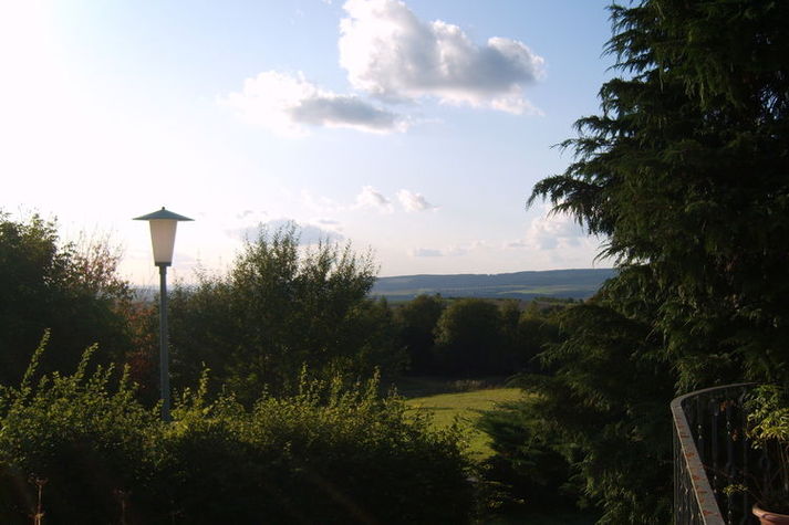 GardenSummer
