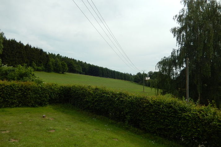 GardenSummer