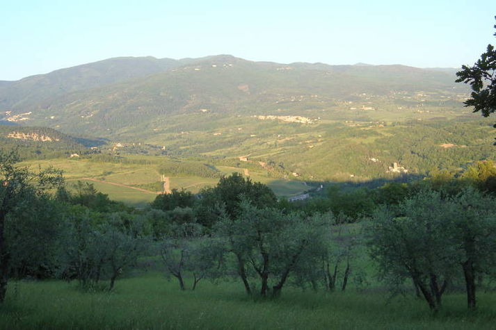 ViewSummer