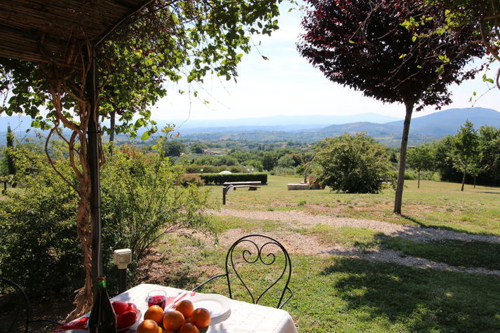 TerraceBalcony