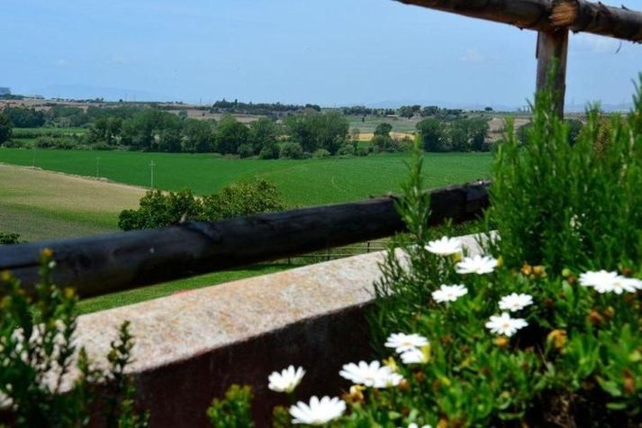 ViewSummer