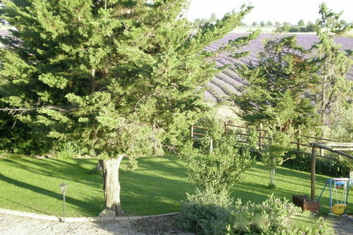 GardenSummer