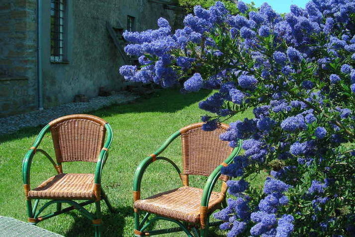 ExteriorSummer