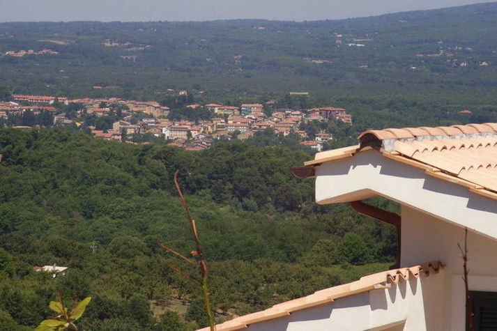 ViewSummer
