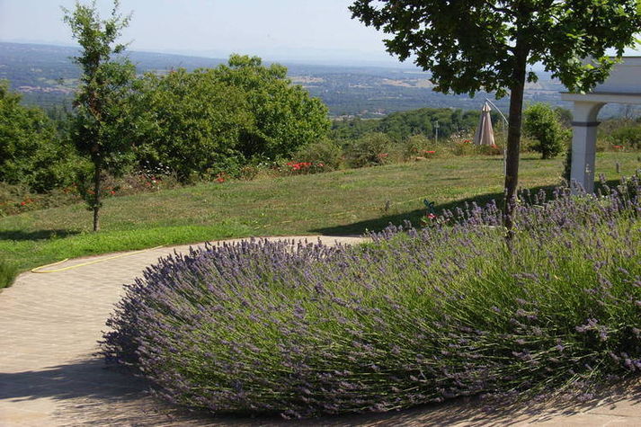 GardenSummer