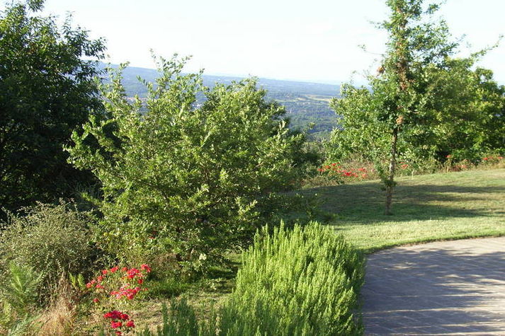 GardenSummer