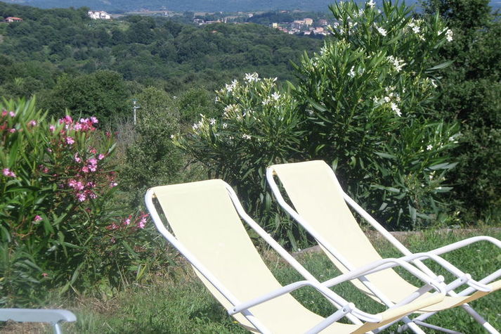 GardenSummer