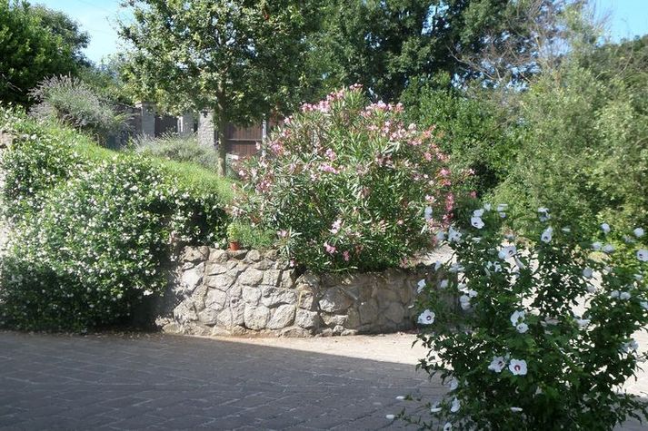 GardenSummer
