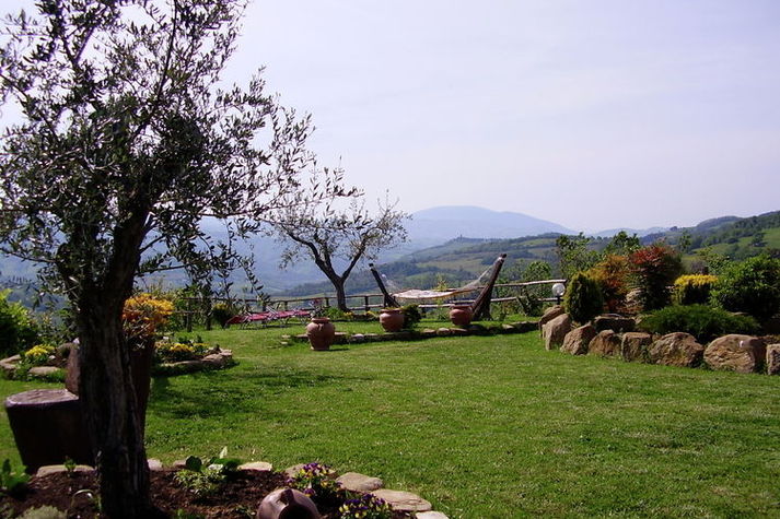 GardenSummer