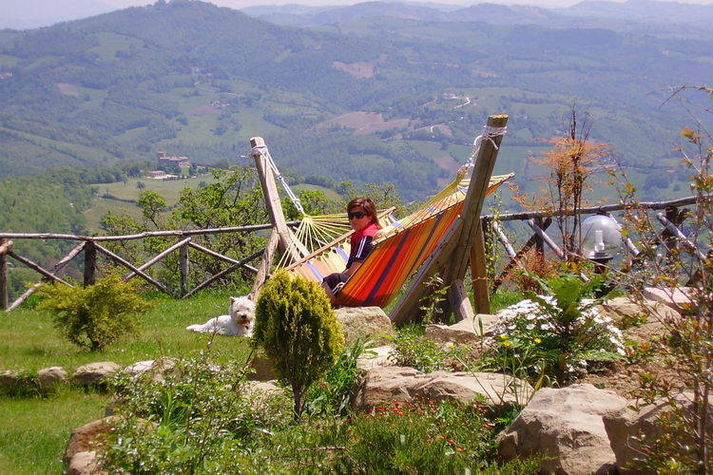 GardenSummer