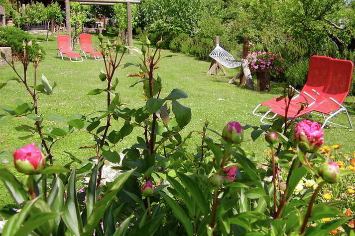 GardenSummer