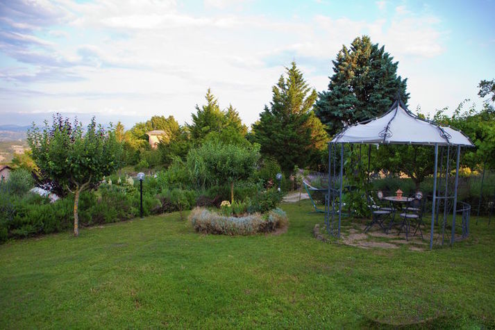 ViewSummer