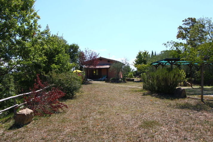 GardenSummer