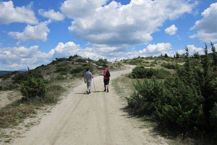 AreaSummer20KM