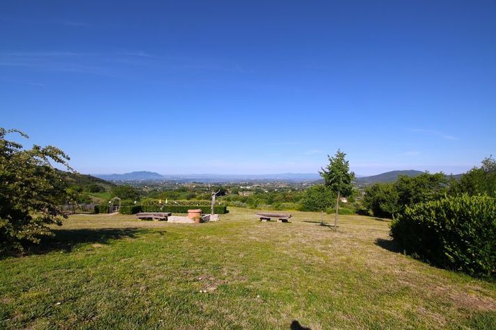 ViewSummer