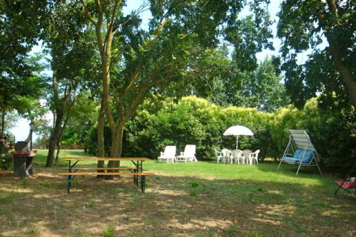 GardenSummer