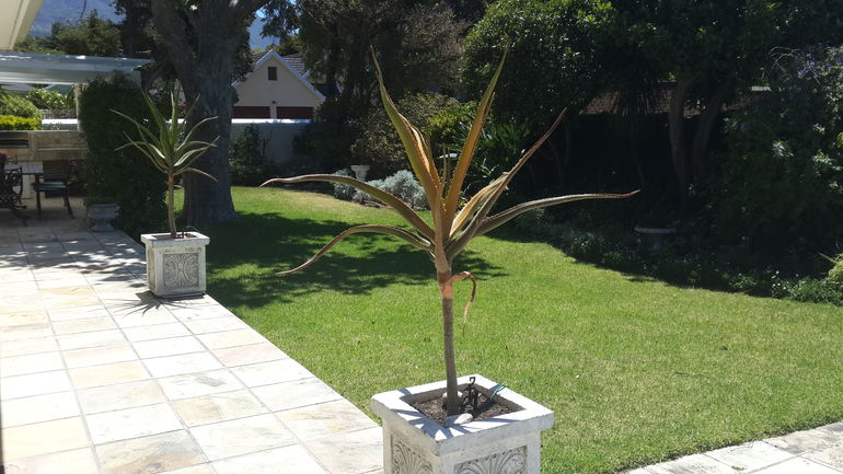 Villa Karibu -