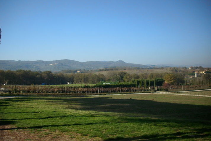 ViewSummer