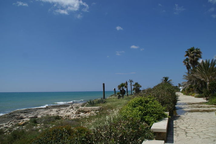 ViewSummer
