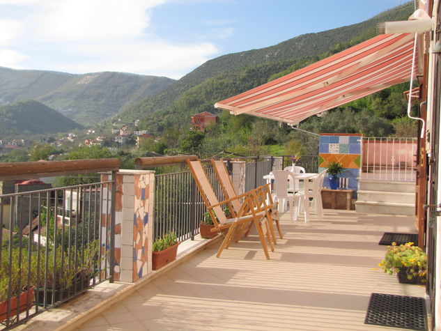 The Terrace