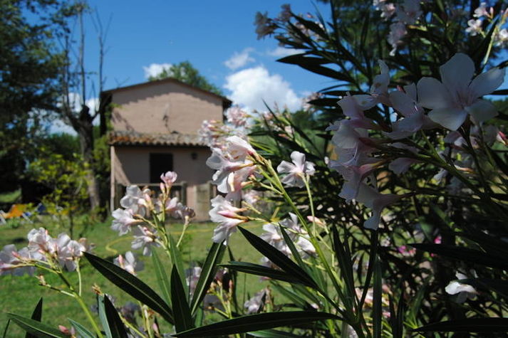 GardenSummer