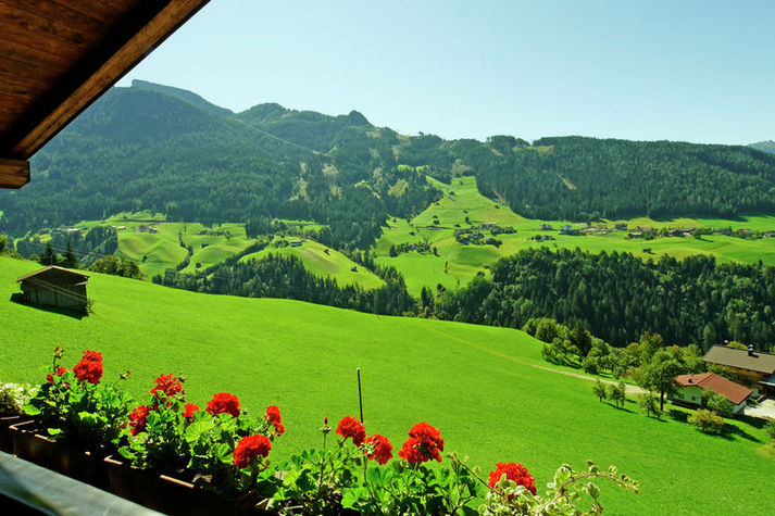 ViewSummer