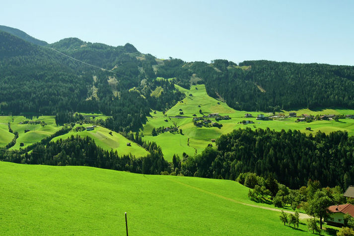 ViewSummer