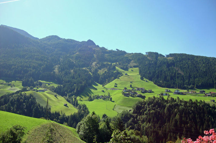 ViewSummer