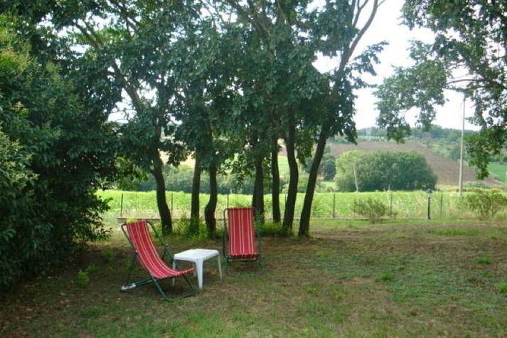 GardenSummer