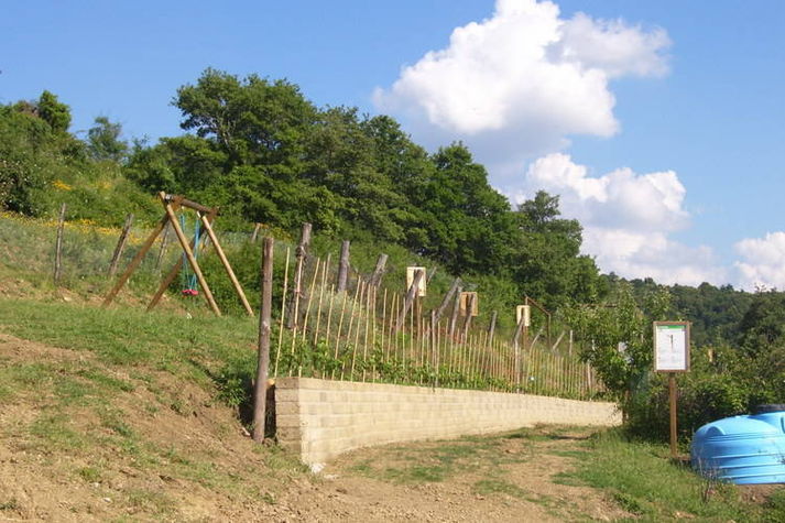 GardenSummer