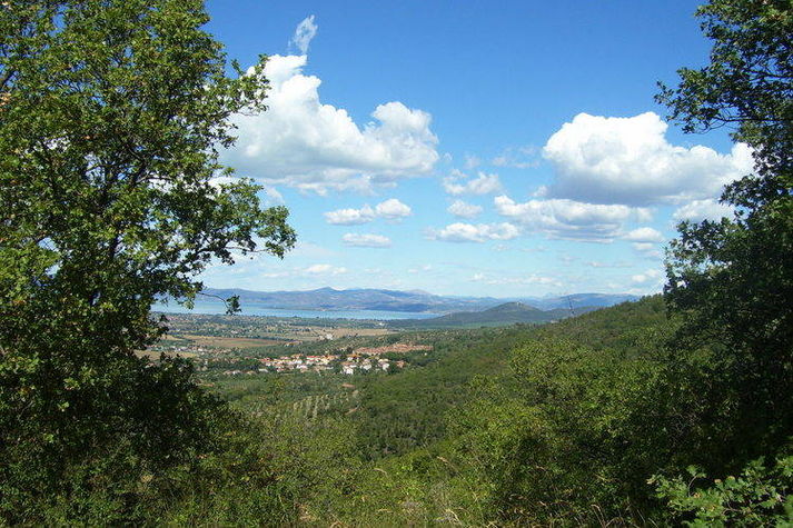 ViewSummer