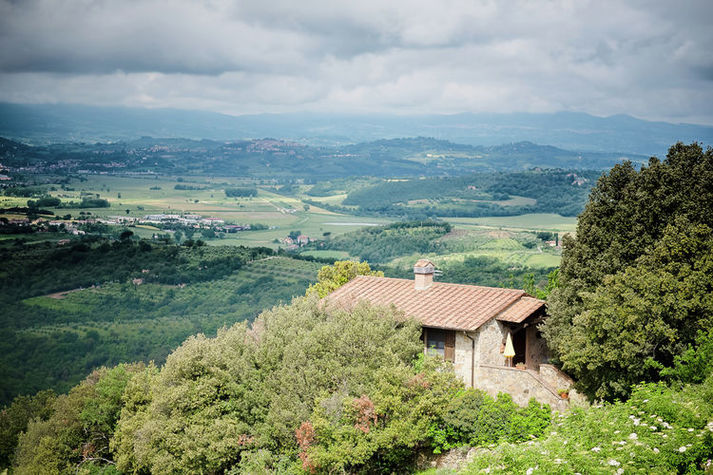 ViewSummer