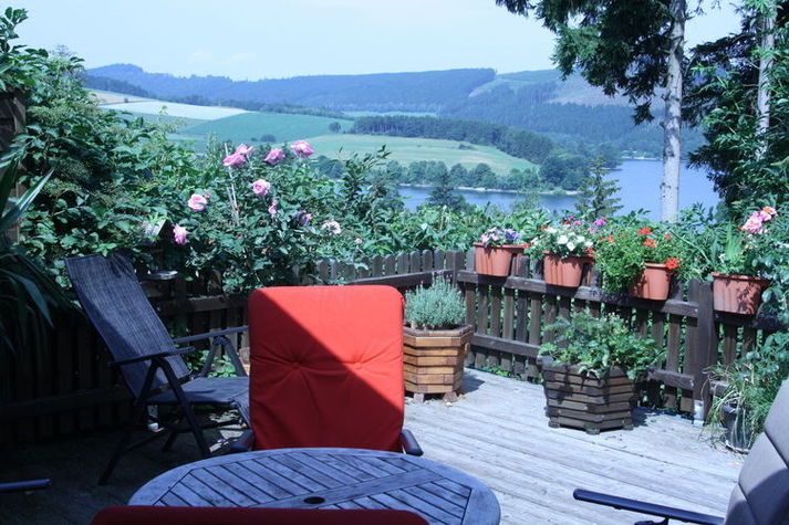 ViewSummer