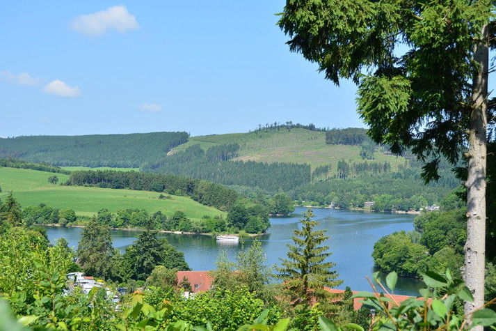 ViewSummer