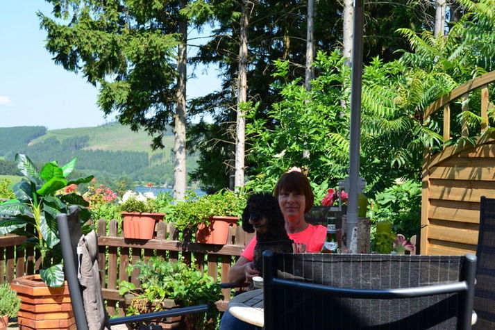 ViewSummer