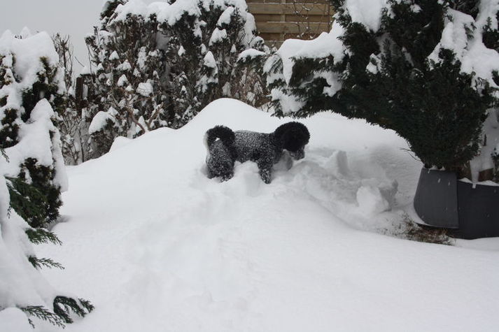 ExteriorWinter