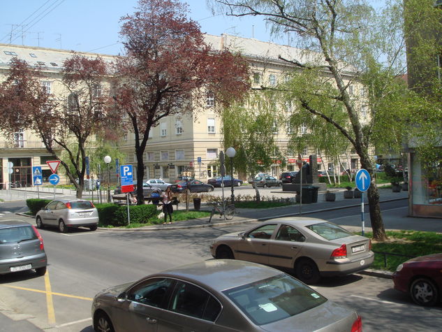 View from the window