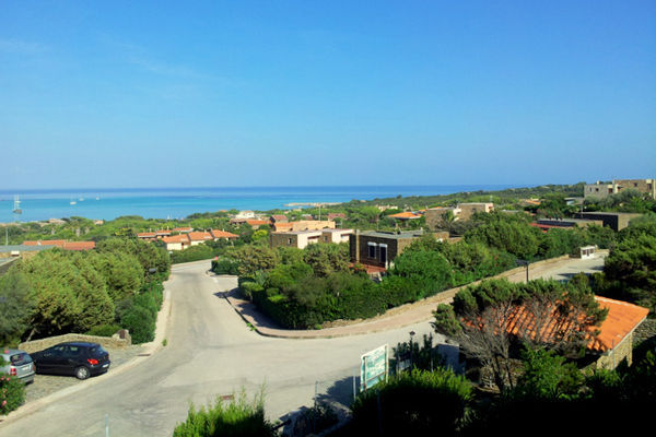 ViewSummer