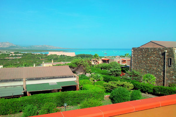 ViewSummer