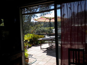 View from living room