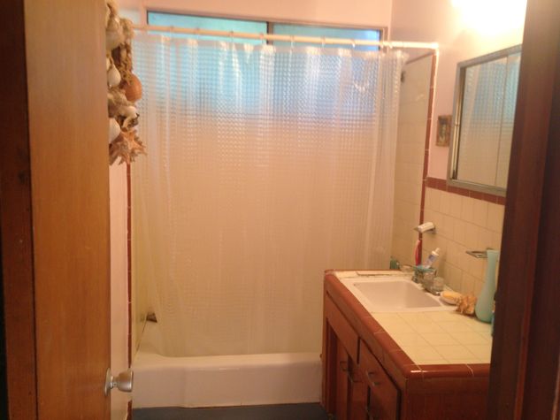 Bathroom / tub & shower