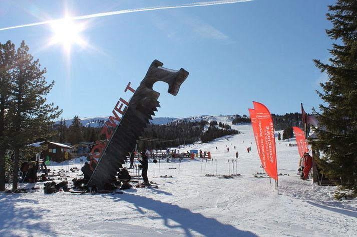 AreaWinter1KM