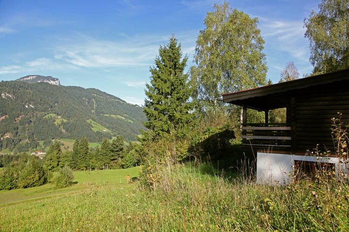ViewSummer