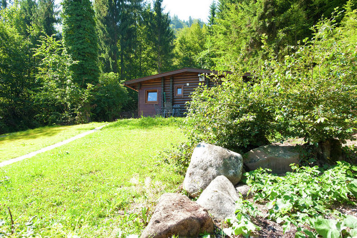 GardenSummer