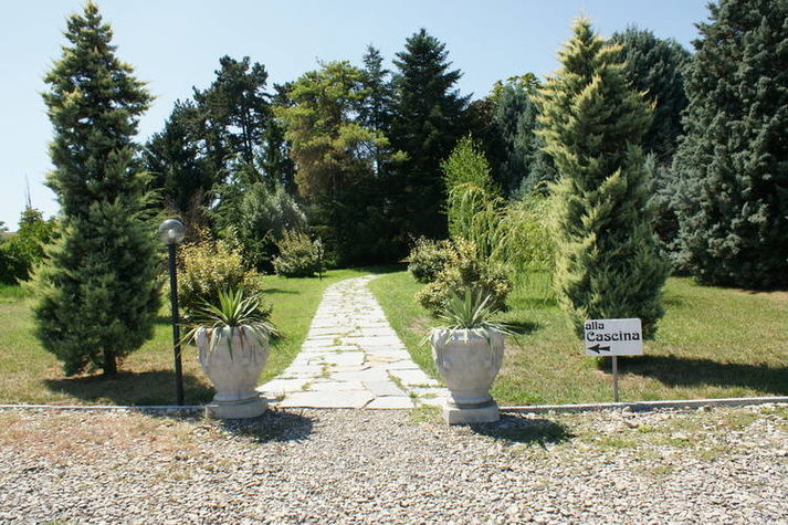 GardenSummer