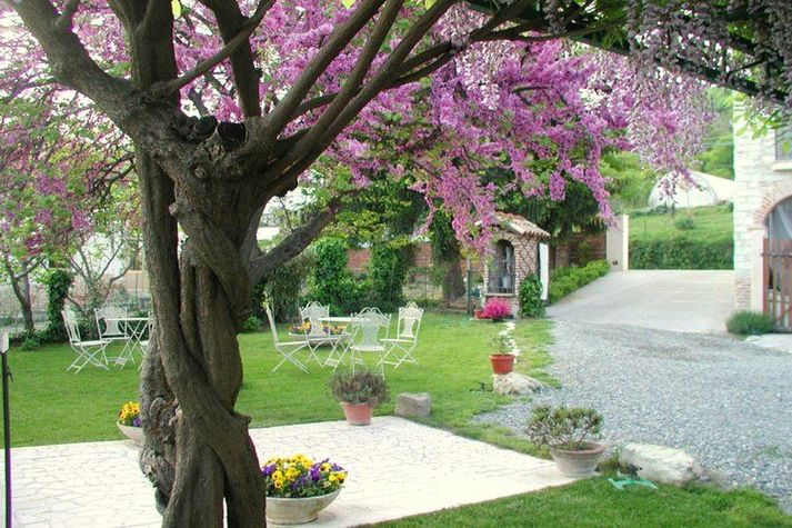 GardenSummer