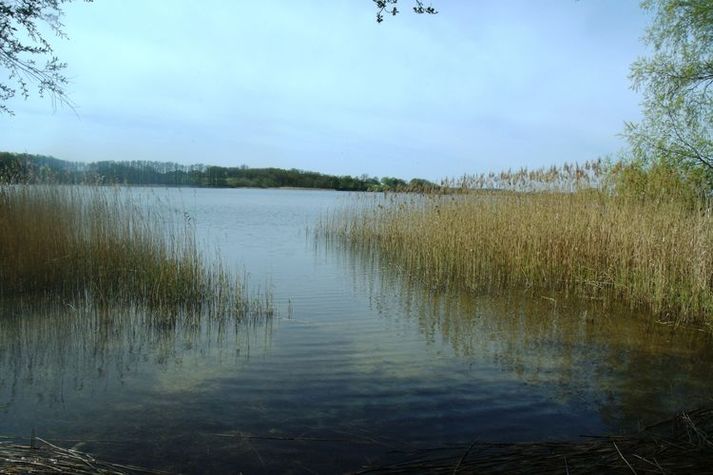 AreaSummer20KM
