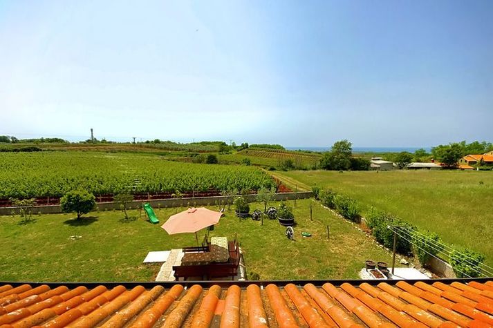 ViewSummer